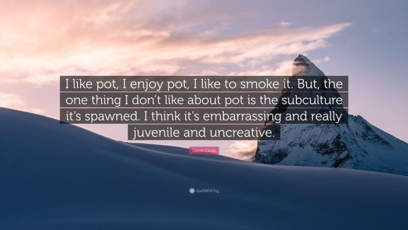 David Cross Quote: “I like pot, I enjoy pot, I like to smoke it. But, the one thing I don’t like about pot is the subculture it’s spawned. I think it’s embarrassing and really juvenile and uncreative.”