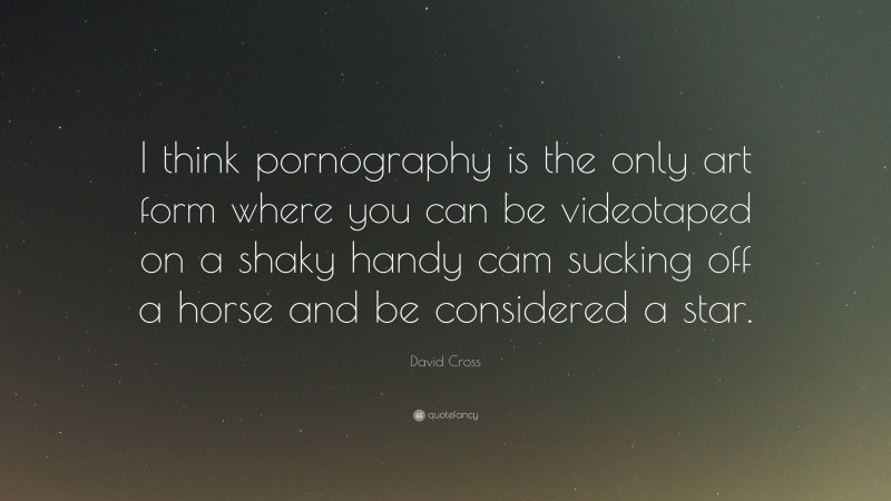 David Cross Quote: “I think pornography is the only art form where you can be videotaped on a shaky handy cam sucking off a horse and be considered a star.”