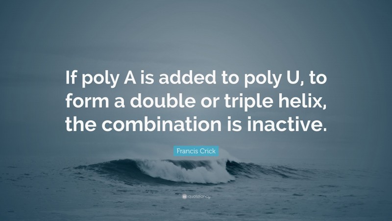 Francis Crick Quote: “If poly A is added to poly U, to form a double or triple helix, the combination is inactive.”