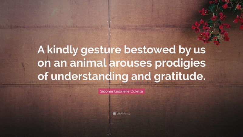 Sidonie Gabrielle Colette Quote: “A kindly gesture bestowed by us on an animal arouses prodigies of understanding and gratitude.”
