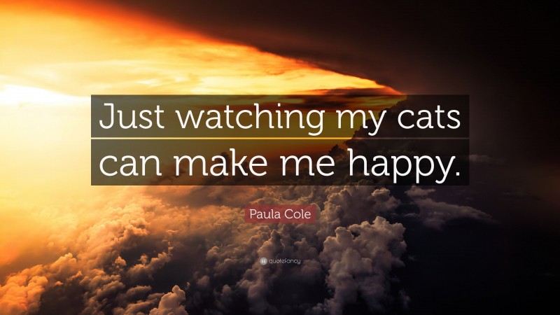 Paula Cole Quote: “Just watching my cats can make me happy.”