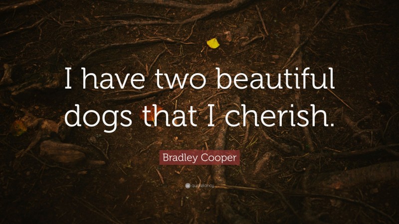 Bradley Cooper Quote: “I have two beautiful dogs that I cherish.”