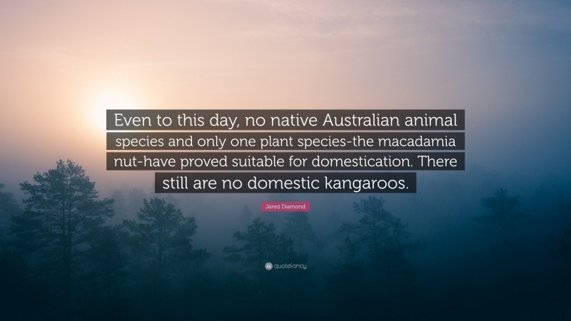 Jared Diamond Quote: “Even to this day, no native Australian animal species and only one plant species-the macadamia nut-have proved suitable for domestication. There still are no domestic kangaroos.”