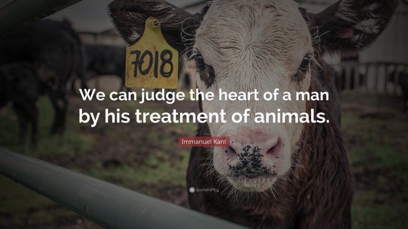 Immanuel Kant Quote: “We can judge the heart of a man by his treatment of animals.”