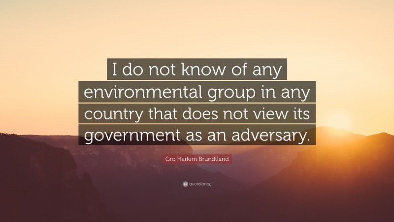 Gro Harlem Brundtland Quote: “I do not know of any environmental group in any country that does not view its government as an adversary.”