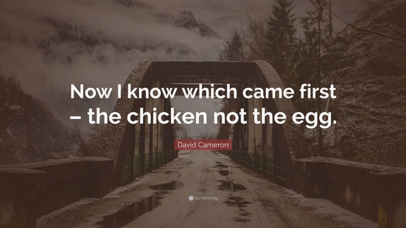 David Cameron Quote: “Now I know which came first – the chicken not the egg.”