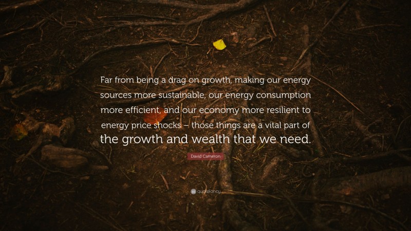 David Cameron Quote: “Far from being a drag on growth, making our energy sources more sustainable, our energy consumption more efficient, and our economy more resilient to energy price shocks – those things are a vital part of the growth and wealth that we need.”