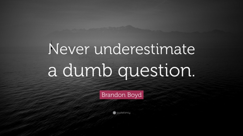 Brandon Boyd Quote: “Never underestimate a dumb question.”