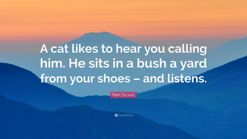 Pam Brown Quote: “A cat likes to hear you calling him. He sits in a bush a yard from your shoes – and listens.”