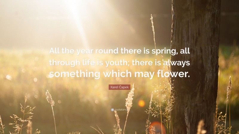 Karel Čapek Quote: “All the year round there is spring, all through life is youth; there is always something which may flower.”