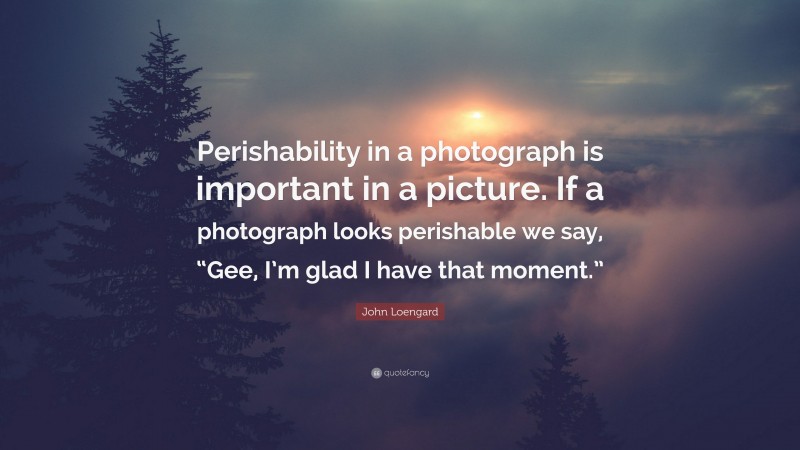 John Loengard Quote: “Perishability in a photograph is important in a picture. If a photograph looks perishable we say, “Gee, I’m glad I have that moment.””