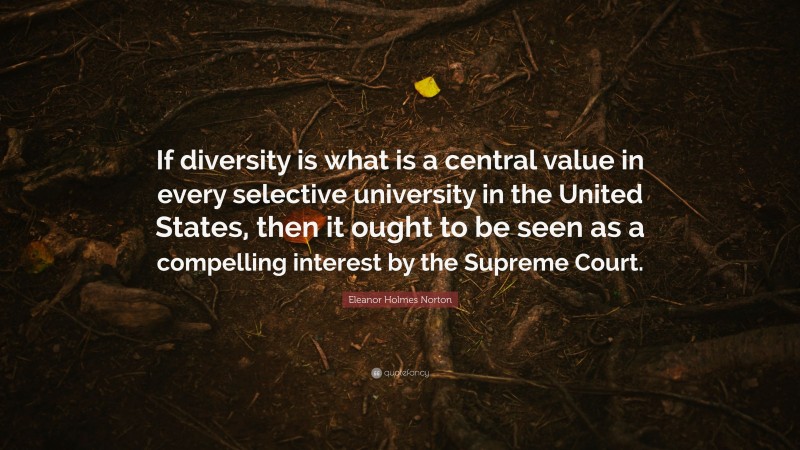 Eleanor Holmes Norton Quote: “If diversity is what is a central value in every selective university in the United States, then it ought to be seen as a compelling interest by the Supreme Court.”