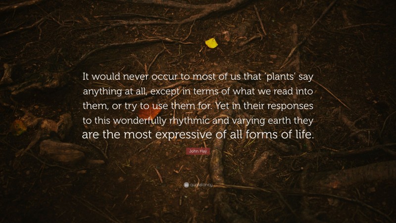 John Hay Quote: “It would never occur to most of us that ‘plants’ say anything at all, except in terms of what we read into them, or try to use them for. Yet in their responses to this wonderfully rhythmic and varying earth they are the most expressive of all forms of life.”