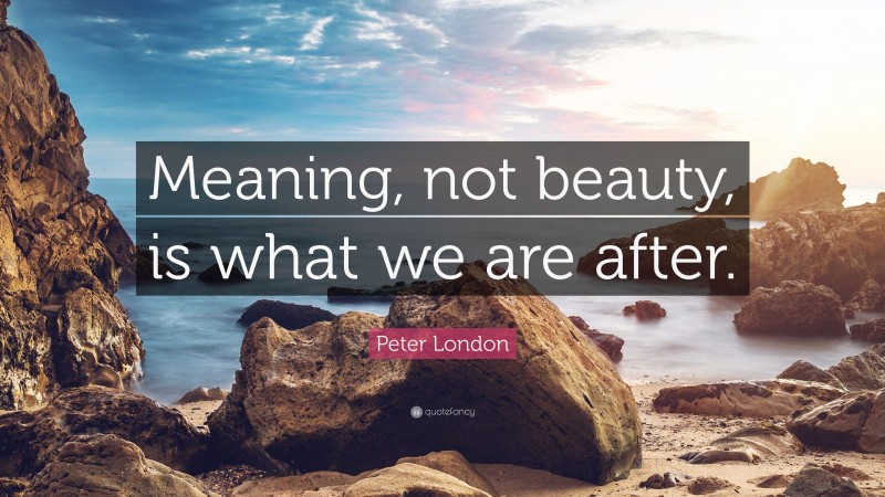 Peter London Quote: “Meaning, not beauty, is what we are after.”