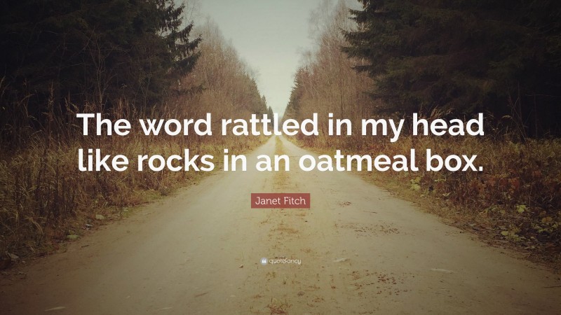 Janet Fitch Quote: “The word rattled in my head like rocks in an oatmeal box.”