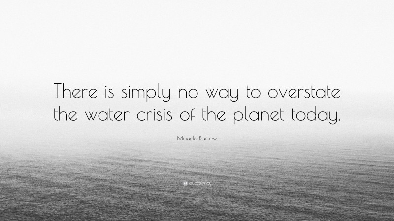 Maude Barlow Quote: “There is simply no way to overstate the water crisis of the planet today.”