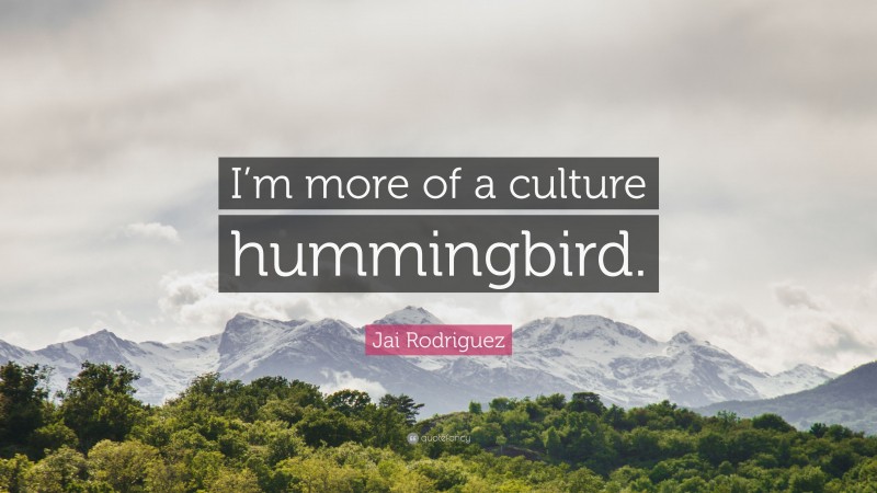 Jai Rodriguez Quote: “I’m more of a culture hummingbird.”