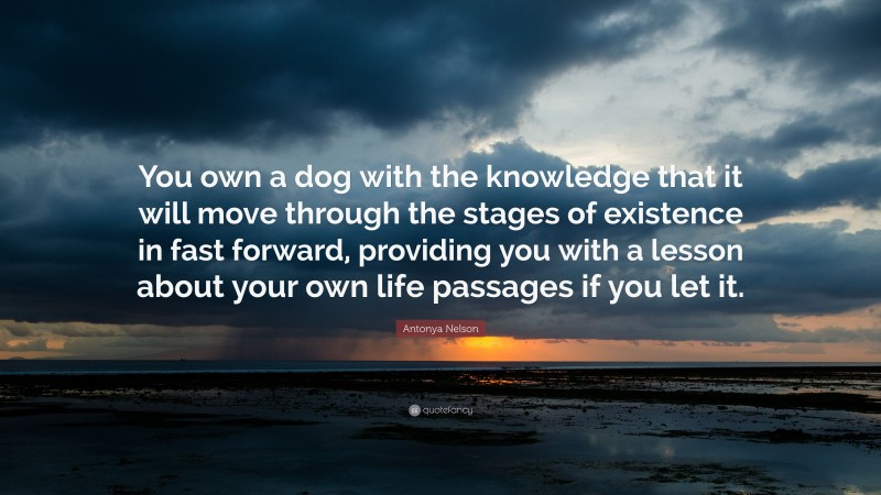 Antonya Nelson Quote: “You own a dog with the knowledge that it will move through the stages of existence in fast forward, providing you with a lesson about your own life passages if you let it.”
