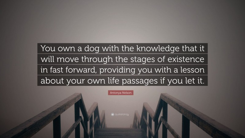 Antonya Nelson Quote: “You own a dog with the knowledge that it will move through the stages of existence in fast forward, providing you with a lesson about your own life passages if you let it.”