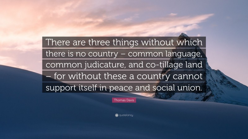 Thomas Davis Quote: “There are three things without which there is no country – common language, common judicature, and co-tillage land – for without these a country cannot support itself in peace and social union.”