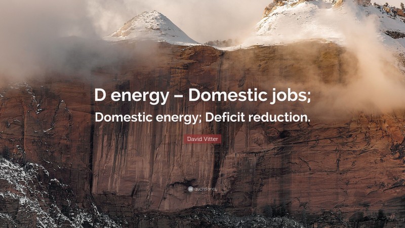 David Vitter Quote: “D energy – Domestic jobs; Domestic energy; Deficit reduction.”