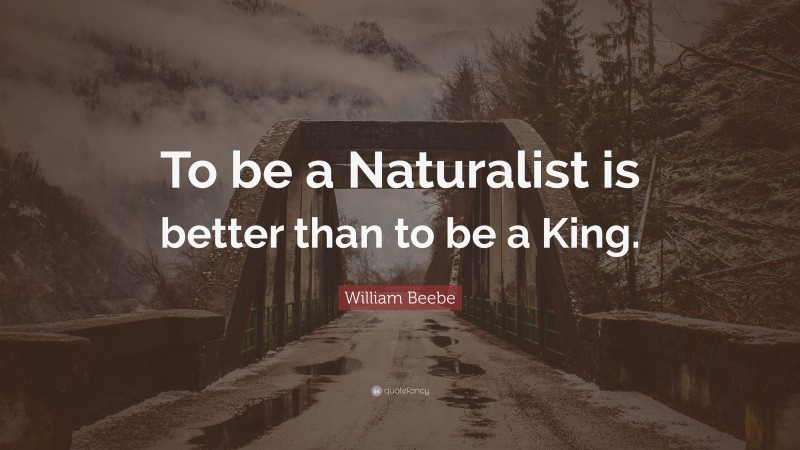 William Beebe Quote: “To be a Naturalist is better than to be a King.”
