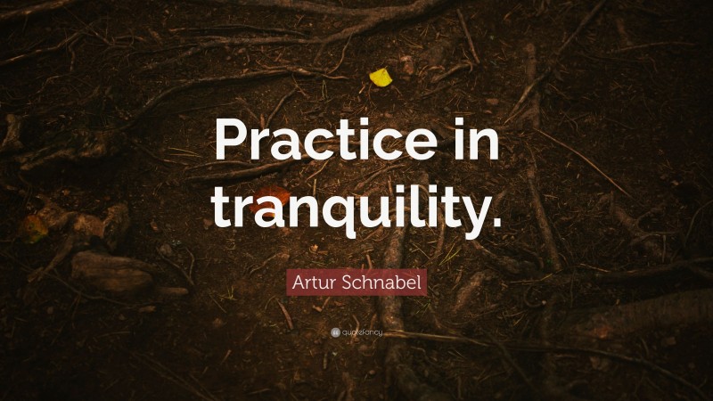 Artur Schnabel Quote: “Practice in tranquility.”