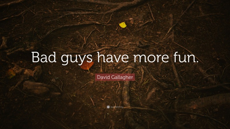 David Gallagher Quote: “Bad guys have more fun.”