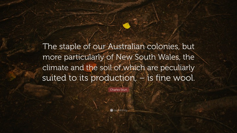 Charles Sturt Quote: “The staple of our Australian colonies, but more particularly of New South Wales, the climate and the soil of which are peculiarly suited to its production, – is fine wool.”