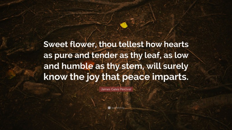 James Gates Percival Quote: “Sweet flower, thou tellest how hearts as pure and tender as thy leaf, as low and humble as thy stem, will surely know the joy that peace imparts.”