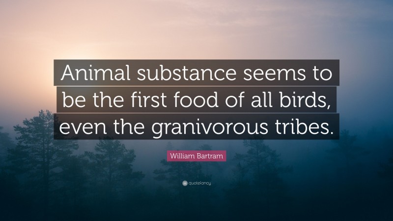 William Bartram Quote: “Animal substance seems to be the first food of all birds, even the granivorous tribes.”