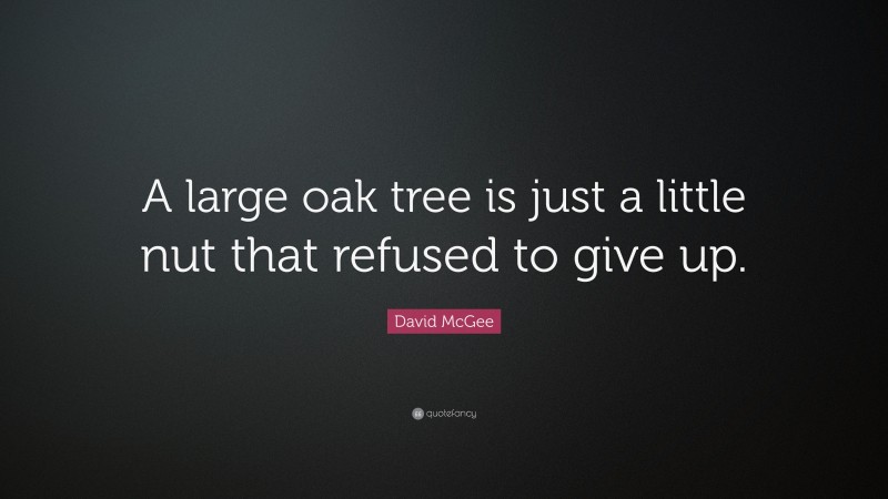 David McGee Quote: “A large oak tree is just a little nut that refused to give up.”