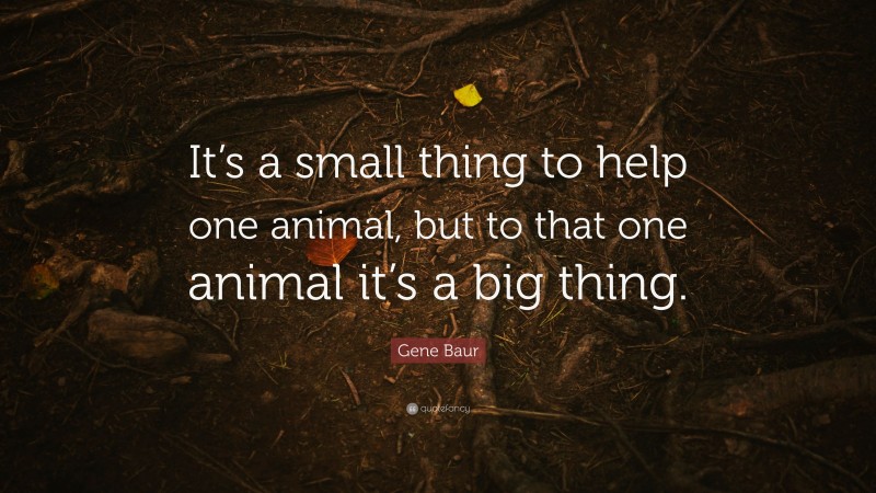 Gene Baur Quote: “It’s a small thing to help one animal, but to that one animal it’s a big thing.”