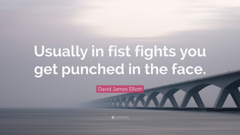 David James Elliott Quote: “Usually in fist fights you get punched in the face.”