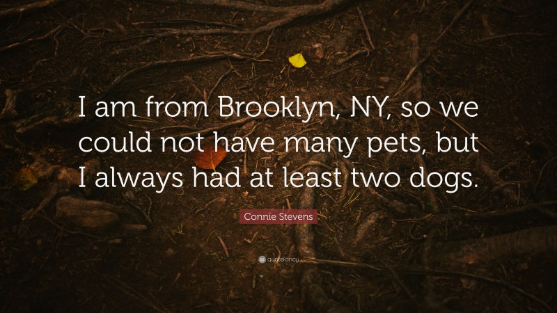 Connie Stevens Quote: “I am from Brooklyn, NY, so we could not have many pets, but I always had at least two dogs.”