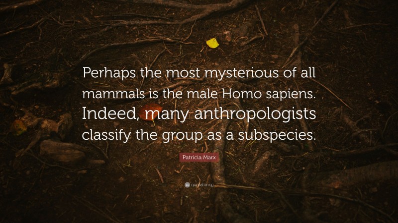 Patricia Marx Quote: “Perhaps the most mysterious of all mammals is the male Homo sapiens. Indeed, many anthropologists classify the group as a subspecies.”
