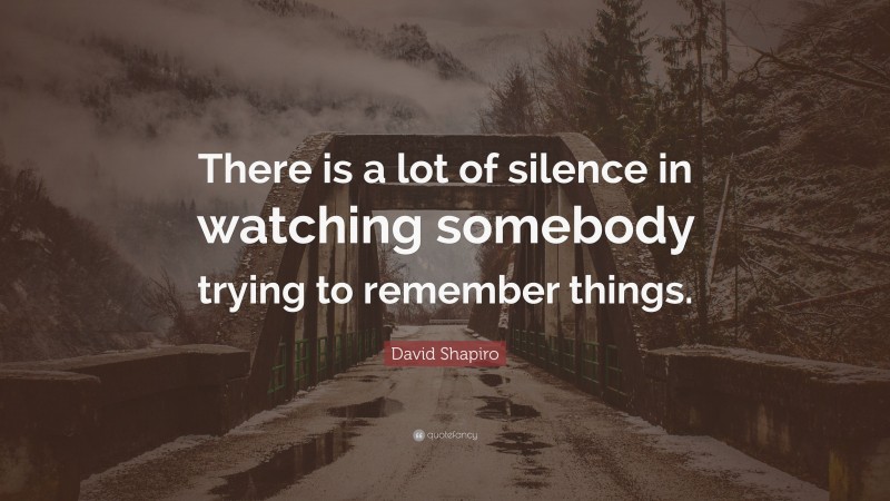 David Shapiro Quote: “There is a lot of silence in watching somebody trying to remember things.”