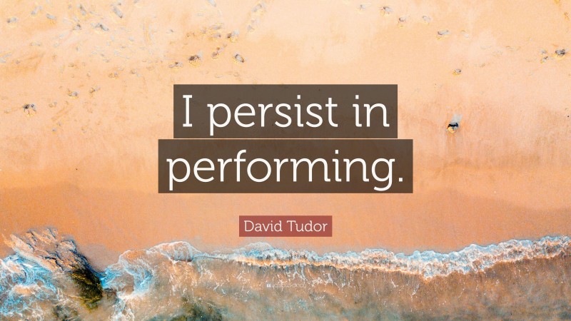 David Tudor Quote: “I persist in performing.”