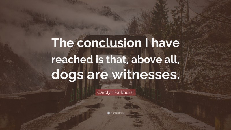 Carolyn Parkhurst Quote: “The conclusion I have reached is that, above all, dogs are witnesses.”