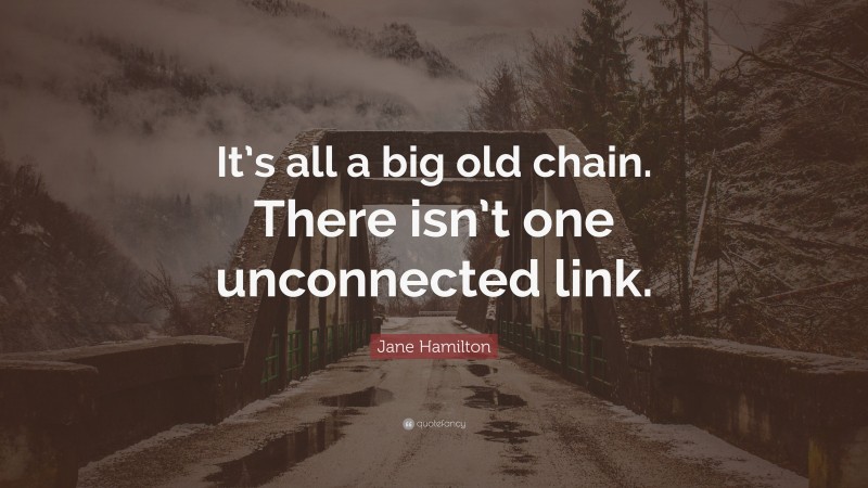 Jane Hamilton Quote: “It’s all a big old chain. There isn’t one unconnected link.”