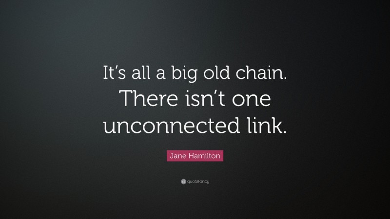 Jane Hamilton Quote: “It’s all a big old chain. There isn’t one unconnected link.”