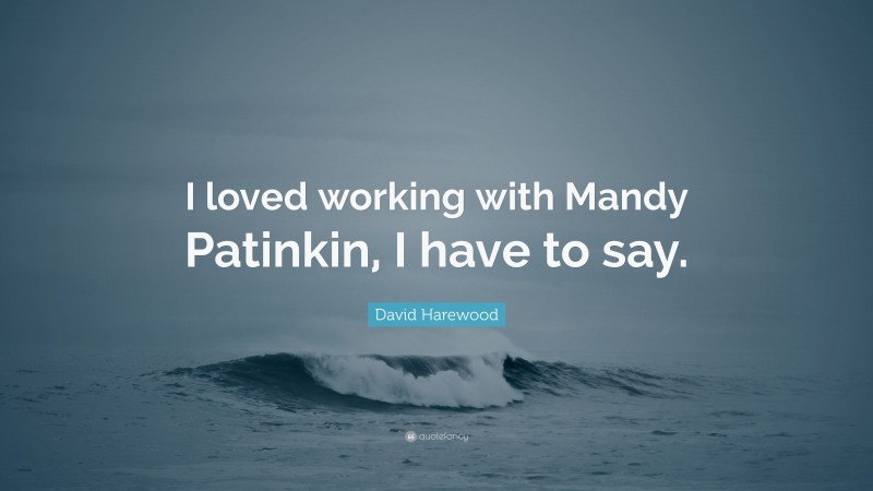 David Harewood Quote: “I loved working with Mandy Patinkin, I have to say.”
