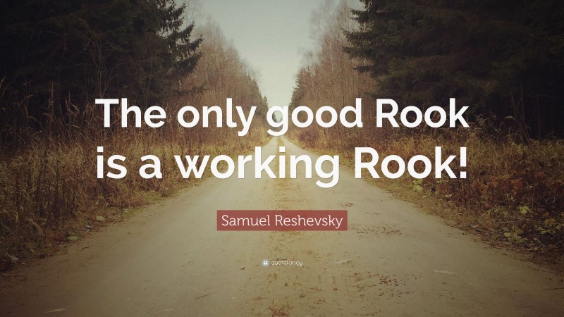 Samuel Reshevsky Quote: “The only good Rook is a working Rook!”