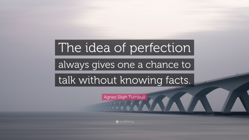 Agnes Sligh Turnbull Quote: “The idea of perfection always gives one a chance to talk without knowing facts.”