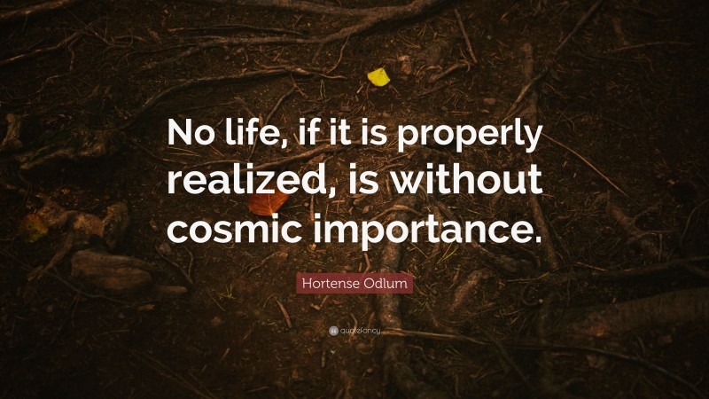 Hortense Odlum Quote: “No life, if it is properly realized, is without cosmic importance.”