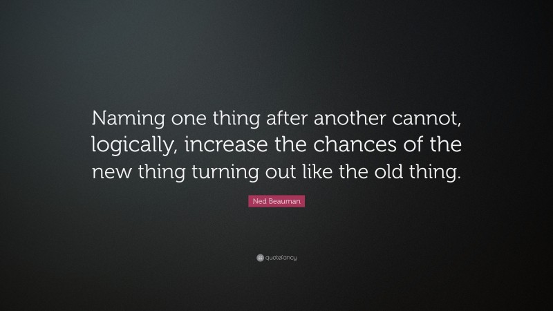 Ned Beauman Quote: “Naming one thing after another cannot, logically, increase the chances of the new thing turning out like the old thing.”