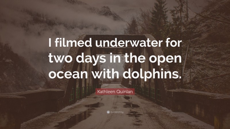 Kathleen Quinlan Quote: “I filmed underwater for two days in the open ocean with dolphins.”