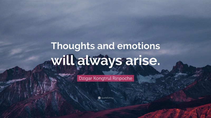 Dzigar Kongtrul Rinpoche Quote: “Thoughts and emotions will always arise.”