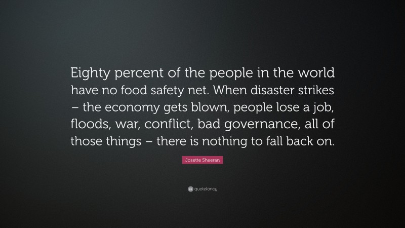 Josette Sheeran Quote: “Eighty percent of the people in the world have no food safety net. When disaster strikes – the economy gets blown, people lose a job, floods, war, conflict, bad governance, all of those things – there is nothing to fall back on.”