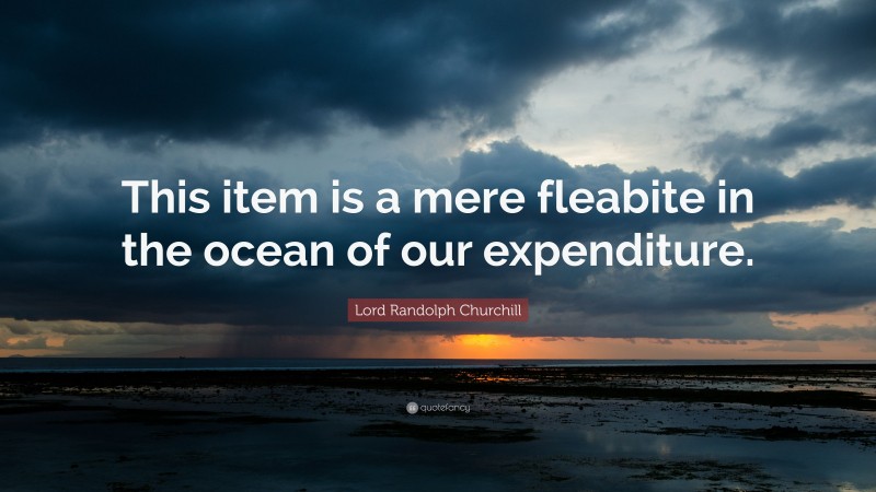 Lord Randolph Churchill Quote: “This item is a mere fleabite in the ocean of our expenditure.”
